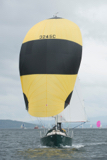 oystercatcher 3245c whyw16 wed 800 3097w